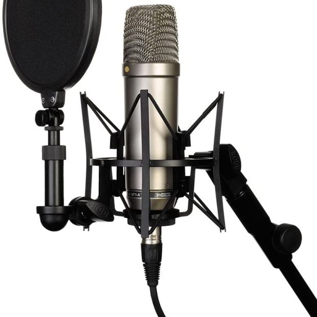 Microfoni a Condensatore: Guida all’Acquisto