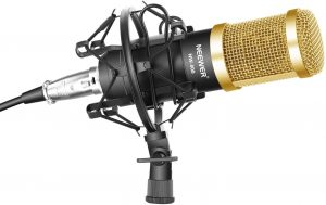 microfono a condensatore professionale migliore