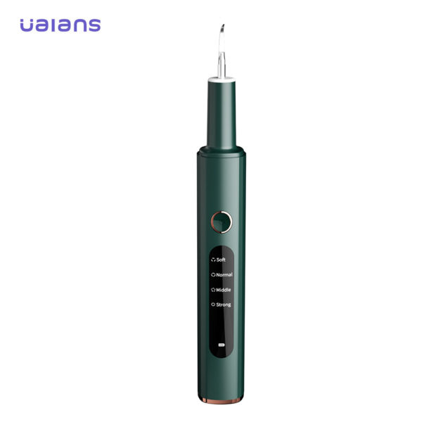 UALANS Dentale Kit di pulizia per rimozione placca elettrica ricaricabile ablatore con luce a led per detergente per den